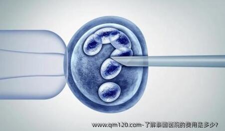 了解泰国医院的费用是多少？