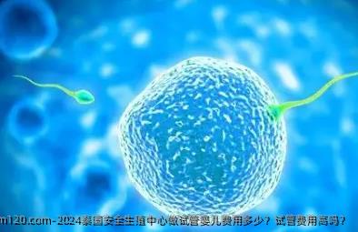 2024泰国安全生殖中心做试管婴儿费用多少？试管费用高吗？