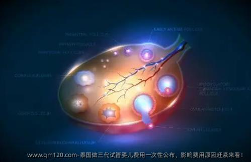 泰国做三代试管婴儿费用一次性公布，影响费用原因赶紧来看！