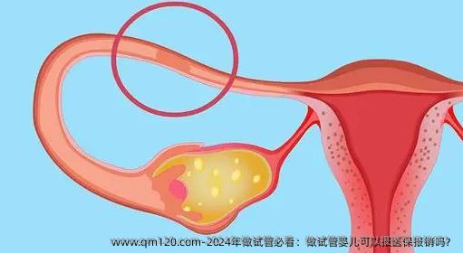 2024年做试管必看：做试管婴儿可以报医保报销吗？