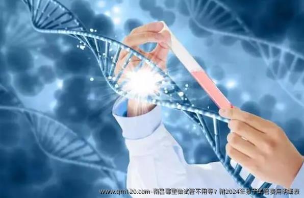 南昌哪里做试管不用等？附2024年孩子试管费用明细表