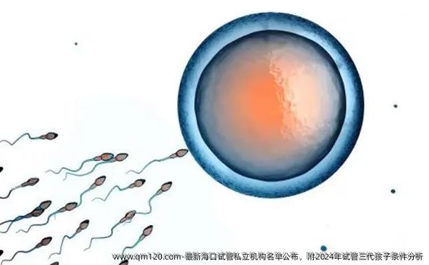 最新海口试管机构名单公布，附2024年试管三代孩子条件分析