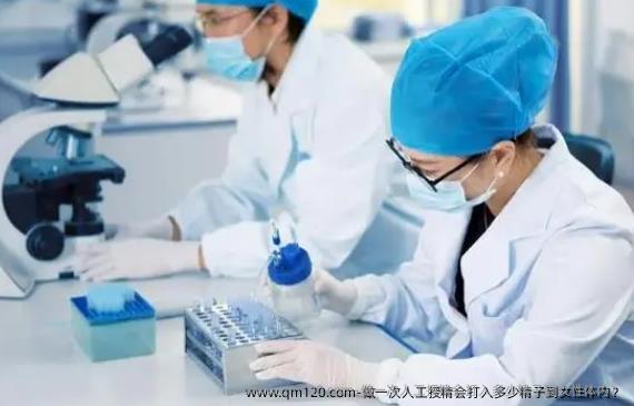 做一次人工授精会打入多少精子到女性体内？