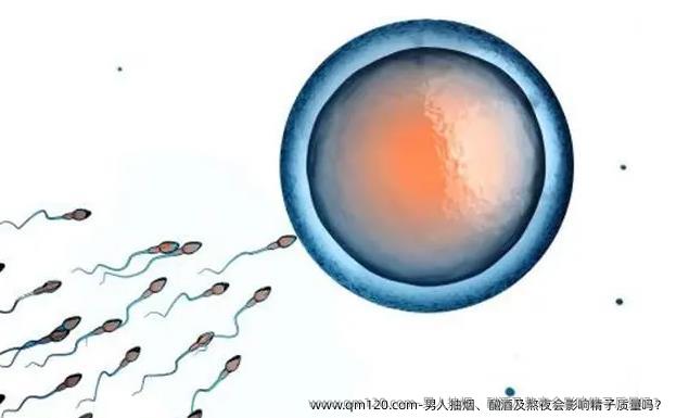 男人抽烟、酗酒及熬夜会影响精子质量吗？