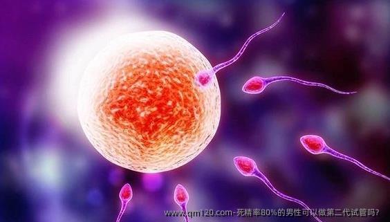 死精率80%的男性可以做第二代试管吗？