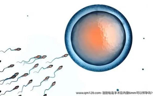 宫腔粘连手术后内膜6mm可以怀孕吗？