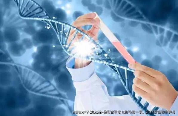 吕梁试管婴儿价格表一览，2024详细费用解读