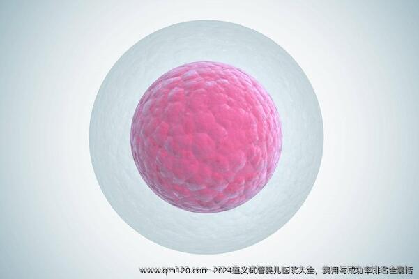 2024遵义试管婴儿医院大全，费用与成功率排名全囊括