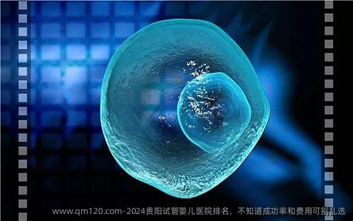 2024贵阳试管婴儿医院排名，不知道成功率和费用可别乱选