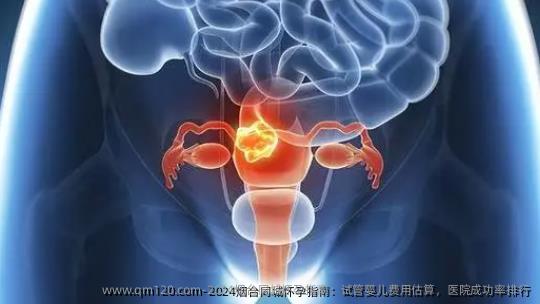 2024烟台同城怀孕指南：试管婴儿费用估算，医院成功率排行