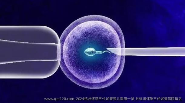 2024杭州怀孕三代试管婴儿费用一览,附杭州怀孕三代试管医院排名