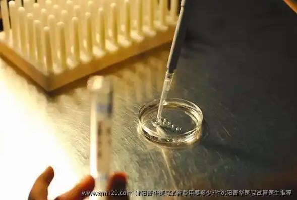 沈阳菁华医院试管费用要多少?附沈阳菁华医院试管医生推荐