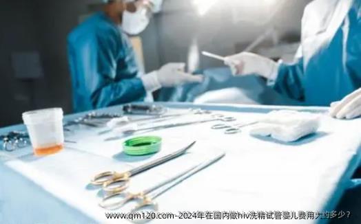 2024年在国内做hiv洗精试管婴儿费用大约多少？