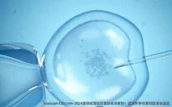 2024昆明试管医院最新名单更新！试管怀孕收费项目清单速览