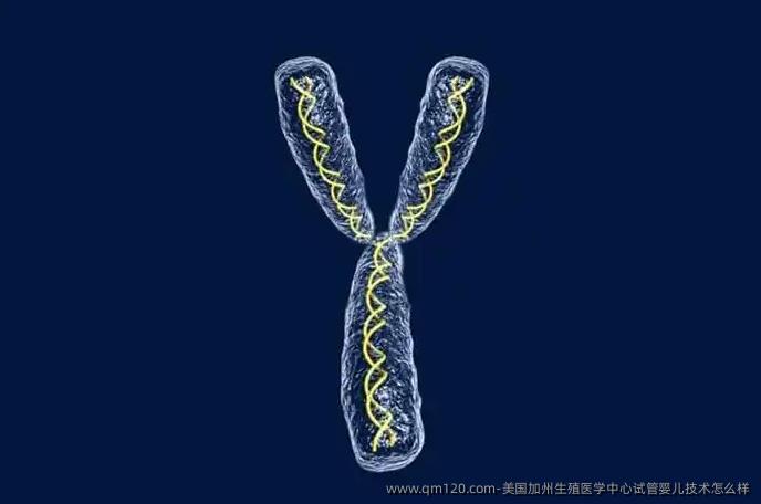 美国加州生殖医学中心试管婴儿技术怎么样