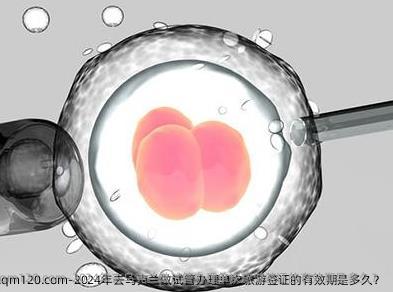 2024年去乌克兰做试管办理单次旅游签证的有效期是多久？