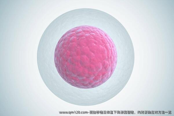 胚胎移植后体温下降原因整理，内附正确应对方法一览