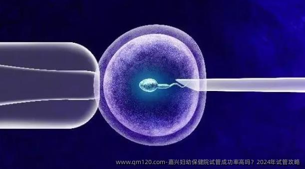 嘉兴妇幼保健院试管成功率高吗？2024年试管攻略