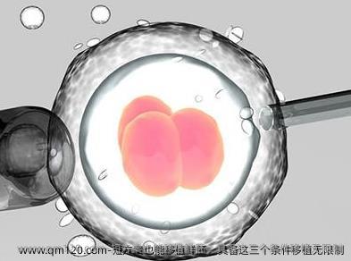 短方案也能移植鲜胚，具备这三个条件移植无限制