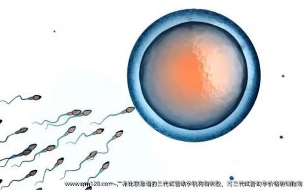 广州比较靠谱的三代试管助孕机构有哪些，附三代试管助孕价格明细指南