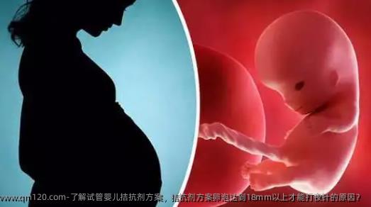 了解试管婴儿拮抗剂方案，拮抗剂方案卵泡达到18mm以上才能打夜针的原因？