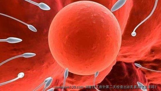 试管打了夜针第二天检查出泌乳素高了正常吗？