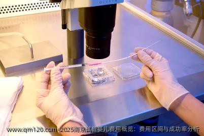 2025南京试管婴儿费用概览：费用区间与成功率分析