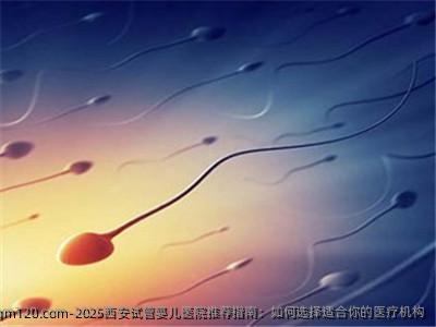 2025西安试管婴儿医院推荐指南：如何选择适合你的医疗机构