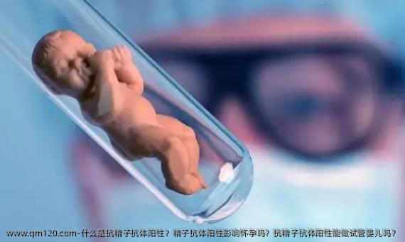 什么是抗精子抗体阳性？精子抗体阳性影响怀孕吗？抗精子抗体阳性能做试管婴儿吗？