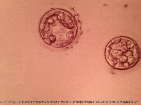 河北试管成功率高的医院有哪些？2023年河北省哪家试管婴儿医院可以用医保报销试管婴儿费用？