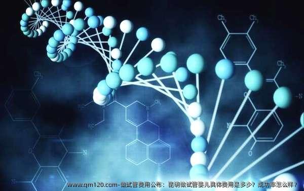 做试管费用公布：昆明做试管婴儿具体费用是多少？成功率怎么样？