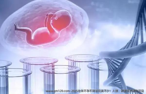 2025沧州不孕不育医院真不少！人授、试管成功率均可观