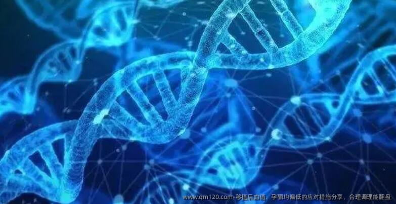 移植后血值、孕酮均偏低的应对措施分享，合理调理能翻盘