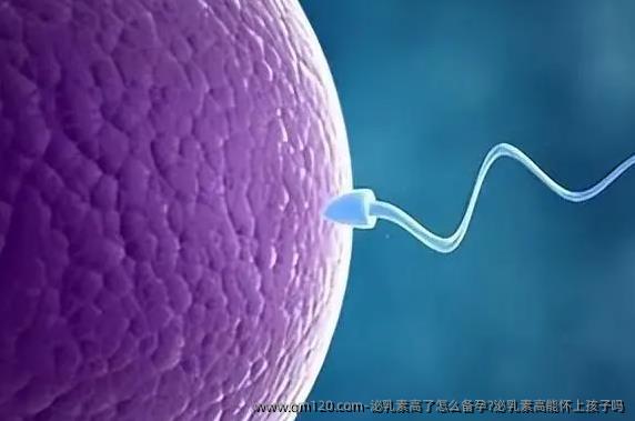 泌乳素高了怎么备孕?泌乳素高能怀上孩子吗