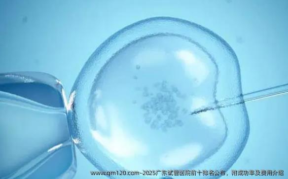 2025广东试管医院前十排名公布，附成功率及费用介绍