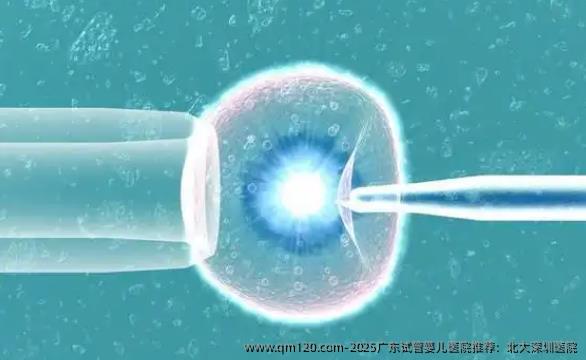 2025广东试管婴儿医院推荐：北大深圳医院