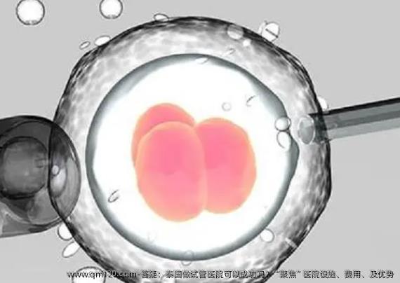 答疑：泰国做试管医院可以成功吗？“聚焦”医院设施、费用、及优势