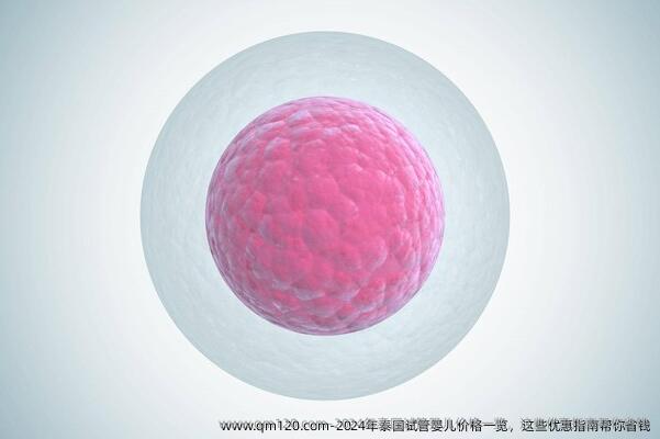 2024年泰国试管婴儿价格一览，这些优惠指南帮你省钱