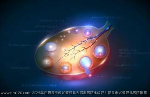 2025年在阳泉市做试管婴儿去哪家医院比较好？阳泉市试管婴儿医院推荐