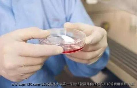 2025吉林大学第一医院试管婴儿价格公布附试管费用明细介绍