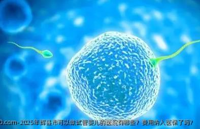 2025年辉县市可以做试管婴儿的医院有哪些？费用纳入医保了吗？