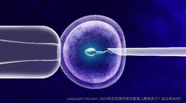 2025年在抚顺市做试管婴儿费用多少？成功率如何？