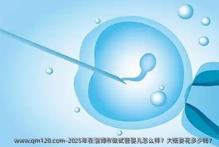 2025年在淄博市做试管婴儿怎么样？大概要花多少钱？