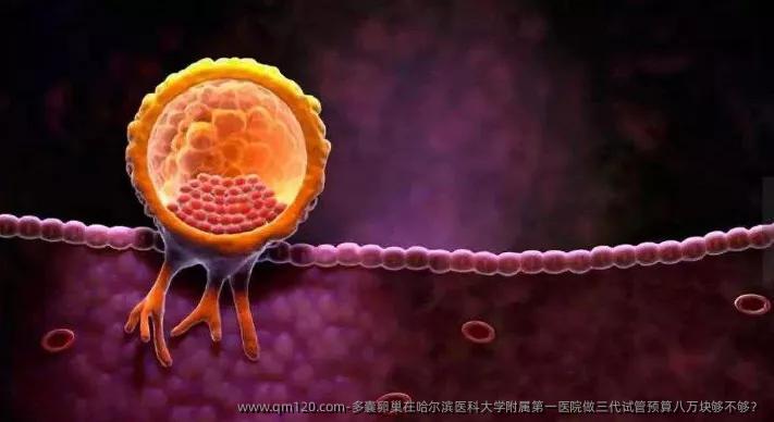 多囊卵巢在哈尔滨医科大学附属第一医院做三代试管预算八万块够不够？