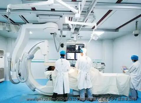 2025年在辽宁省做试管婴儿费用多少？成功率如何？