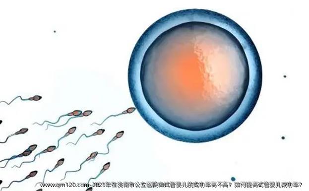 2025年在洮南市公立医院做试管婴儿的成功率高不高？如何提高试管婴儿成功率？