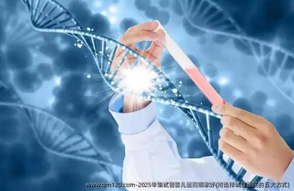 2025辛集试管婴儿医院哪家好(附选择试管医院的五大方式)