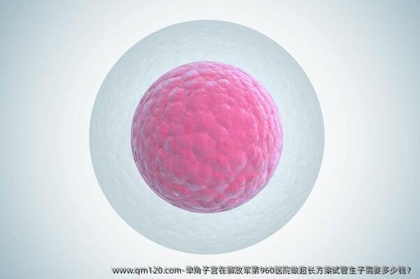 单角子宫在解放军第960医院做超长方案试管生子需要多少钱？