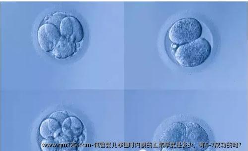 试管婴儿移植时内膜的正常厚度是多少，有6-7成功的吗？