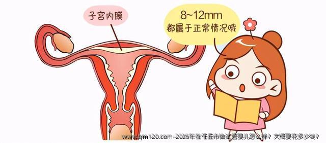 2025年在任丘市做试管婴儿怎么样？大概要花多少钱？